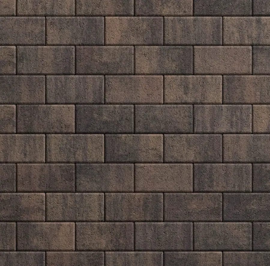 Прямоугольник 100x200 · Б.2.П Листопад гранит Шелковица