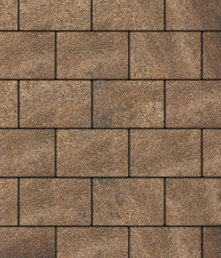 Прямоугольник 300x200 Листопад гранит Клен