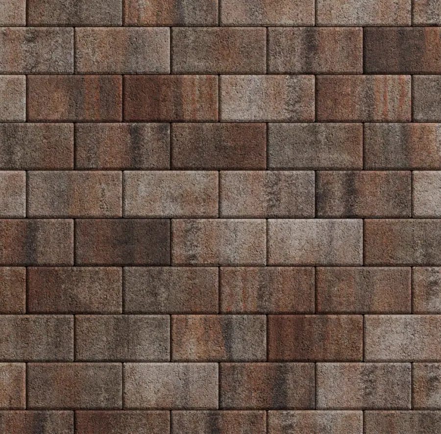 Прямоугольник 100x200 · Б.2.П Листопад гранит Клен