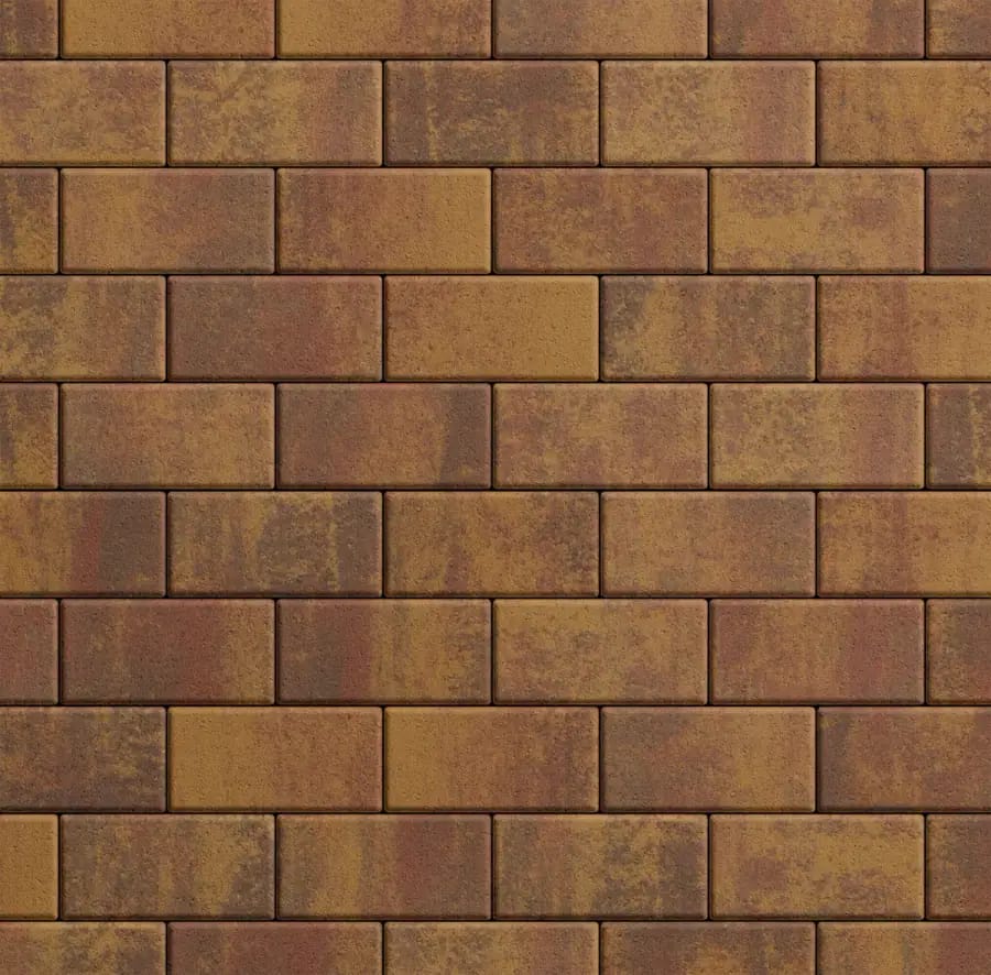 Прямоугольник 100x200 · Б.2.П Листопад гладкий Осень