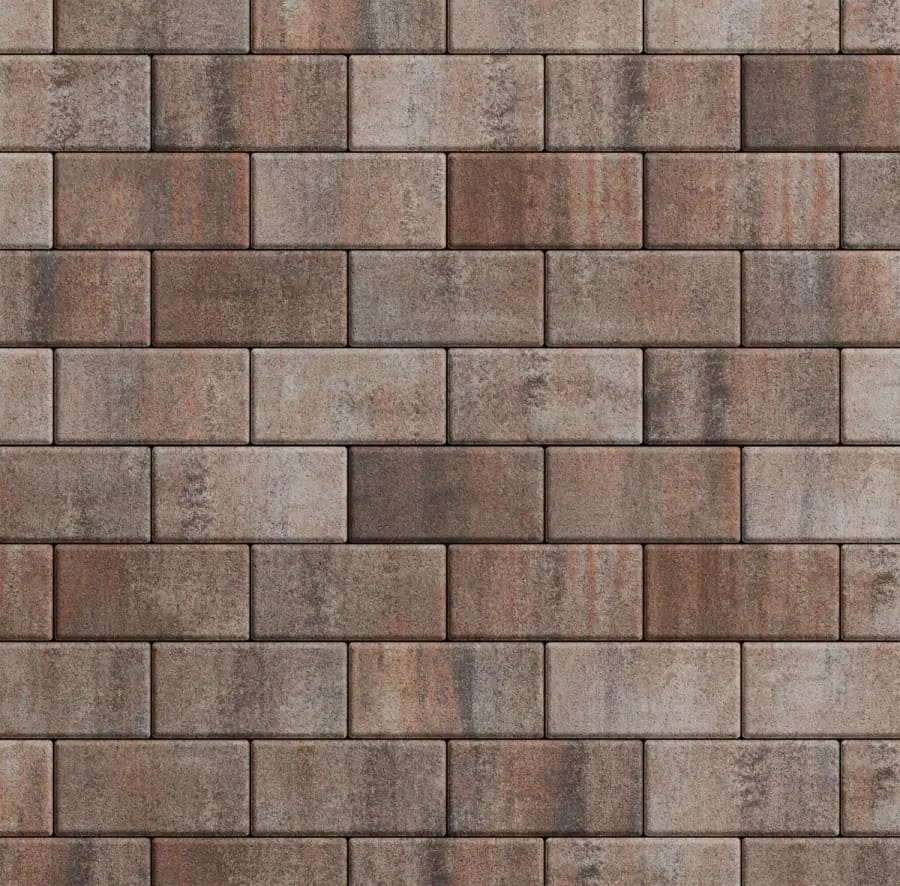 Прямоугольник 100x200 · Б.2.П Листопад гладкий Клен