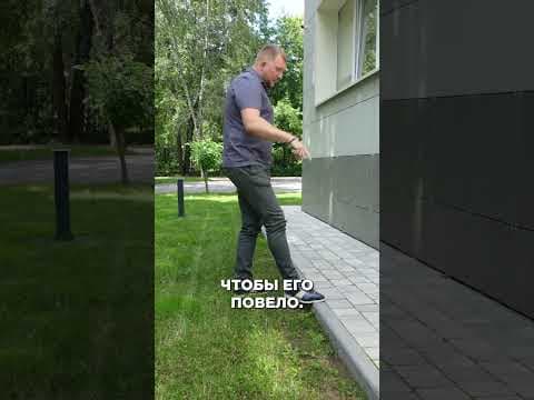 Бордюр для брусчатки — благоустройство школы